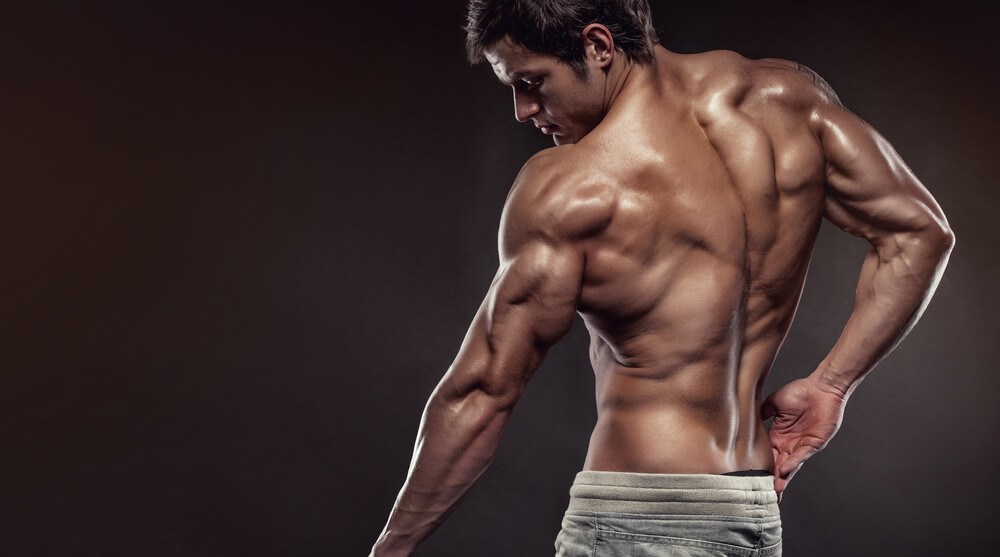 Sculpting Strong Shoulders: The Best Exercises